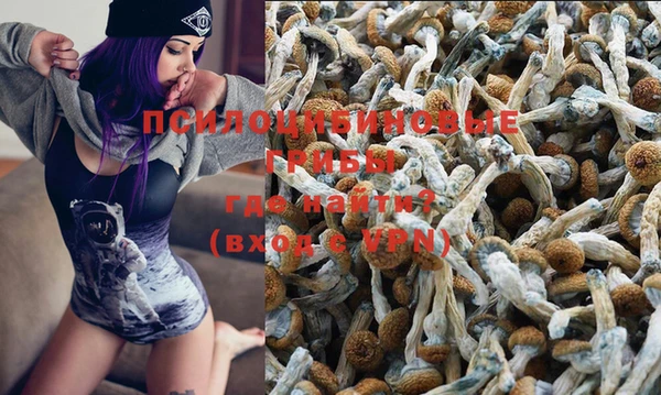 эйфоретик Абаза