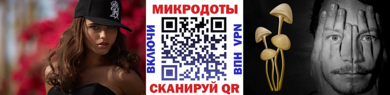 Псилоцибиновые грибы Cubensis  Оса 